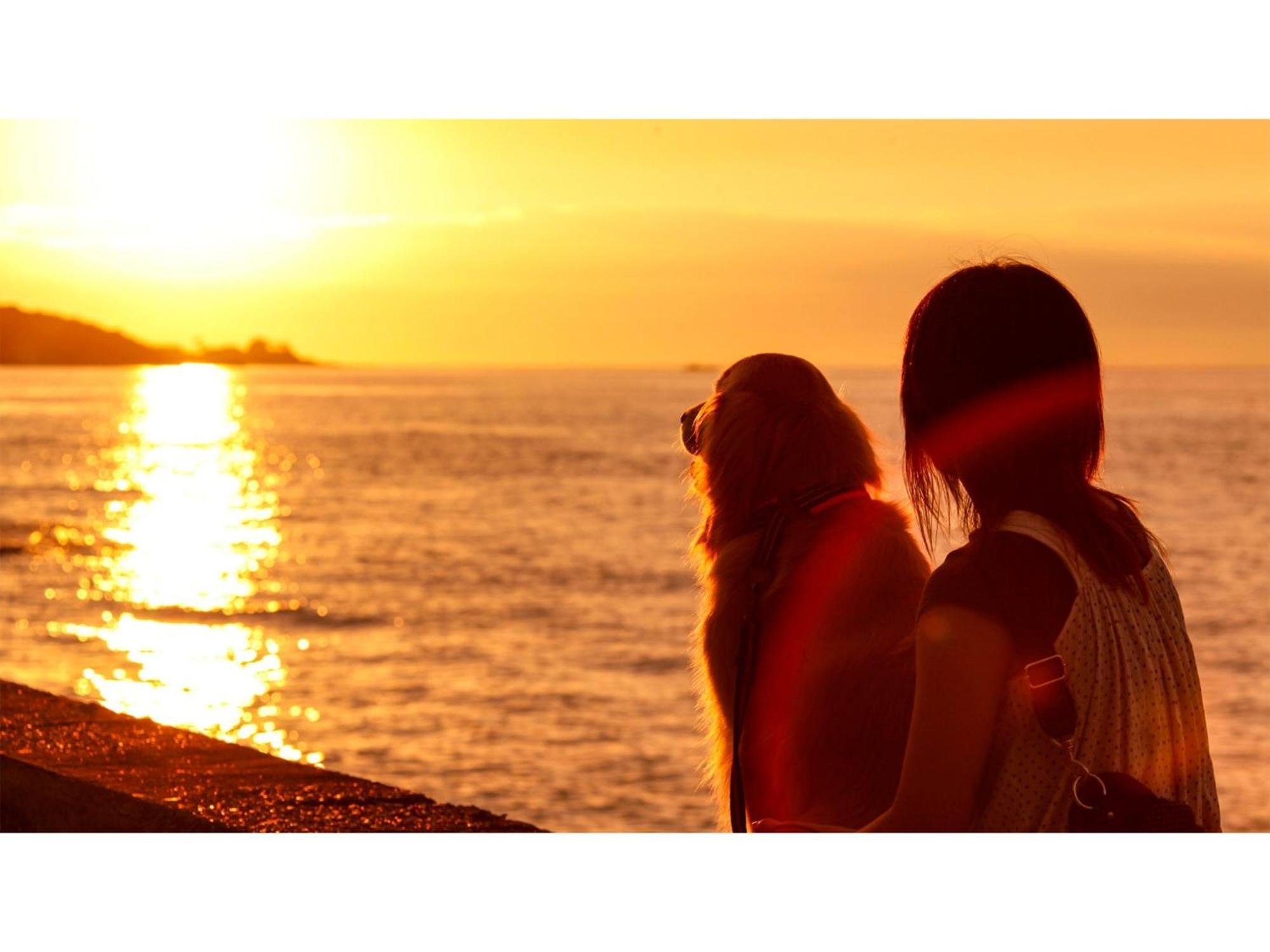 Japari Tateyama - Vacation Stay 84018V Εξωτερικό φωτογραφία